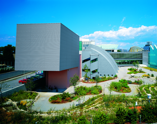 Niederösterreichisches Landesmuseum Niederösterreichisches Landesmuseum